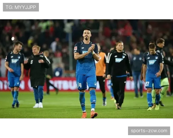 霍芬海姆全队身价仅1.73亿 战术执行力弥补阵容差距 霍芬海姆全队身价仅1.73亿 战术执行力弥补阵容差距